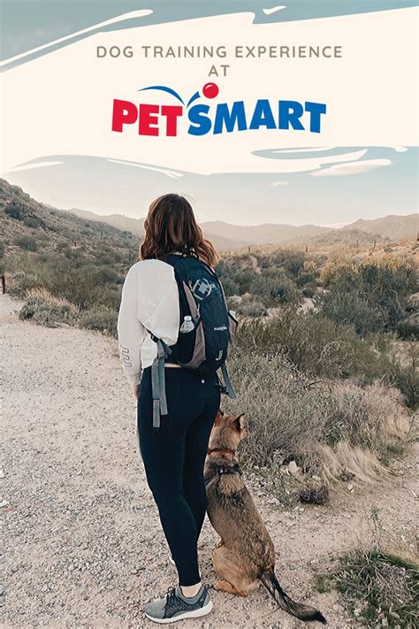 Petsmart dog classes. Things To Know About Petsmart dog classes. 